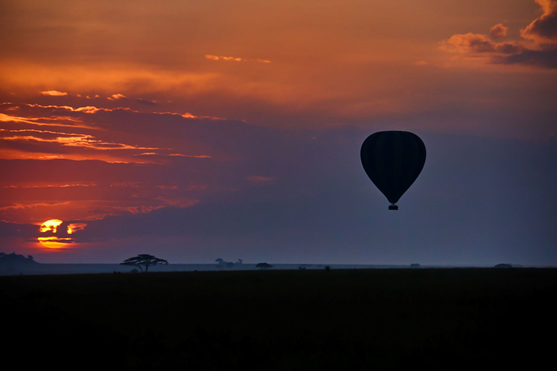 Try a safari in the sky